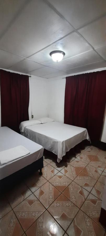 Tropical Dreams Hostel South End Εξωτερικό φωτογραφία