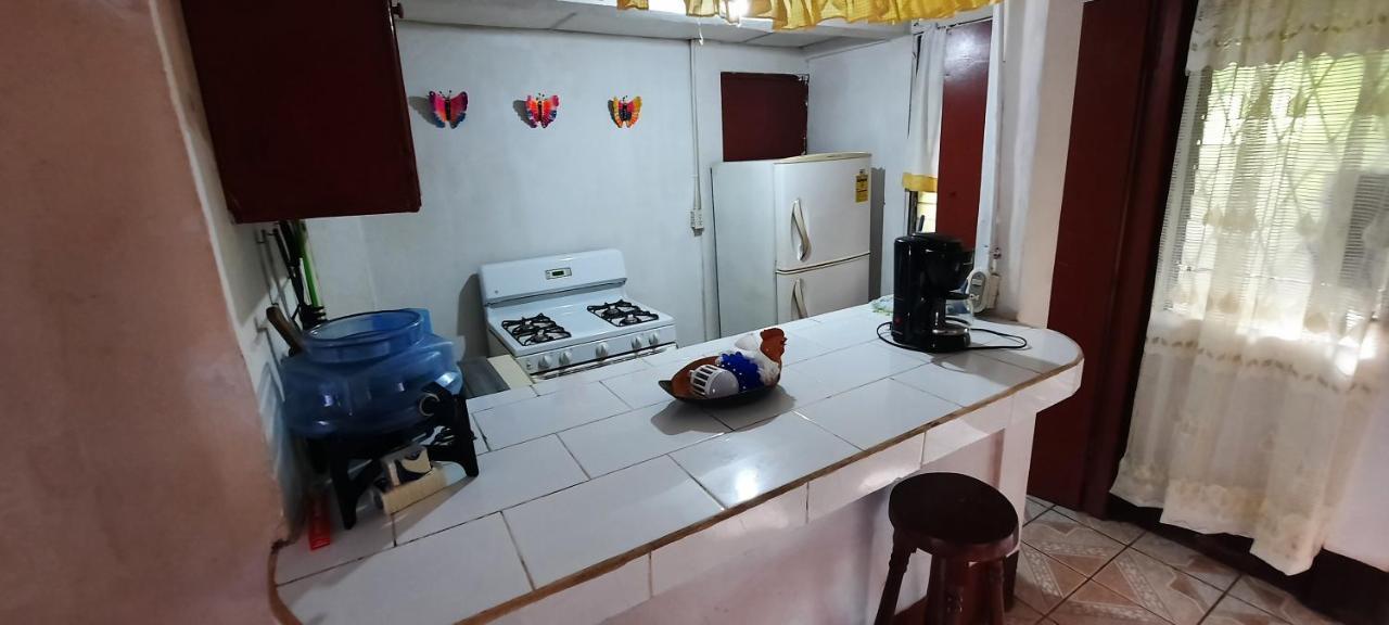 Tropical Dreams Hostel South End Εξωτερικό φωτογραφία