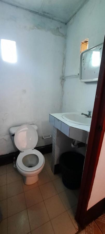 Tropical Dreams Hostel South End Εξωτερικό φωτογραφία