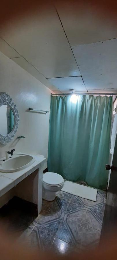 Tropical Dreams Hostel South End Εξωτερικό φωτογραφία